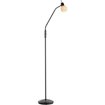 Paul Neuhaus LOKI 12157-18 lampa podłogowa 1x5W/E14   ip20