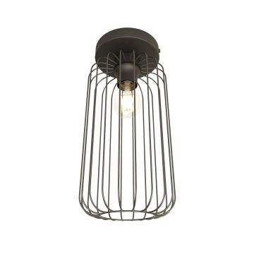 Emibig BARN 1367/1 lampa sufitowa 1x15W/E27 IP20