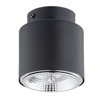 Emibig NANO 1310/1 downlight natynkowy 1x15W/GU10 AR111 IP20