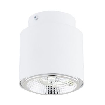 Emibig NANO 1311/1 downlight natynkowy 1x15W/GU10 AR111 IP20