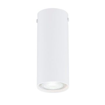 Emibig TECNO 1317/1S downlight natynkowy 1x8W/GU10 IP20