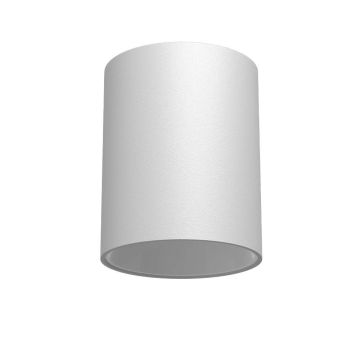 Antigo Point 1255 downlight natynkowy 1x10W/GU10 IP20