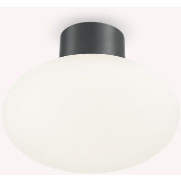 Ideal Lux CLIO 148861 lampa sufitowa 1x42W/E27   ip44