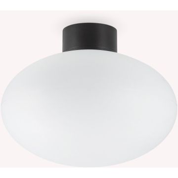 Ideal Lux CLIO 148878 lampa sufitowa 1x42W/E27   ip44