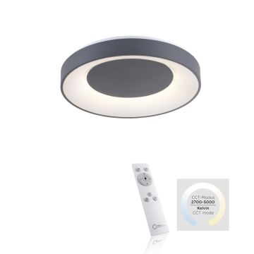 Paul Neuhaus ANIKA 14326-18 lampa sufitowa 1x26,5W/LED IP20 5000K 1450lm