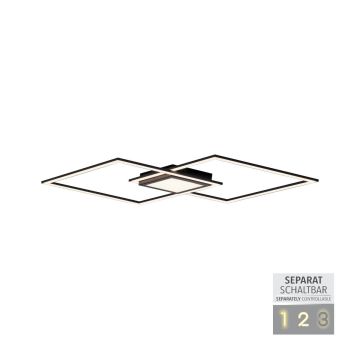 Paul Neuhaus ASMIN 14695-18 lampa sufitowa 1x45W/LED IP20 3000K 2980lm