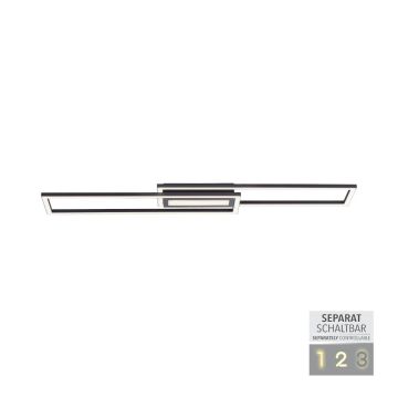 Paul Neuhaus ASMIN 14696-18 lampa sufitowa 1x45W/LED IP20 3000K 2900lm