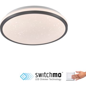 Paul Neuhaus KYLE 14293-18 lampa sufitowa 1x12W/LED 1380lm 3000k ip20