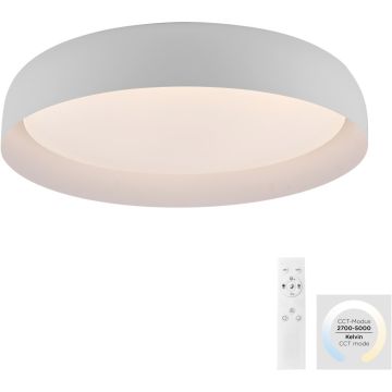 Paul Neuhaus OSKO 14216-16 lampa sufitowa 1x40W/LED 3850lm 2700-5000k ip20