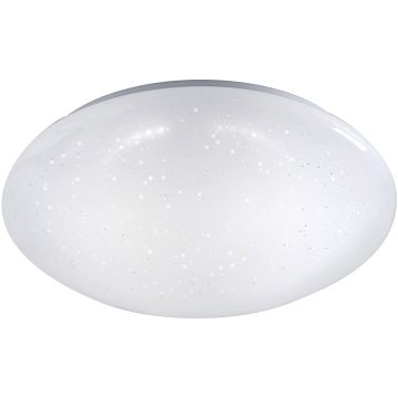 Paul Neuhaus SKYLER 14231-16 lampa sufitowa 1x12W/LED 1380lm 3000k ip20