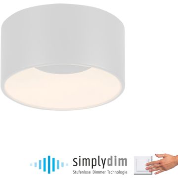 Paul Neuhaus TANIKA 14325-16 lampa sufitowa 1x14W/LED 1500lm 3000k ip20