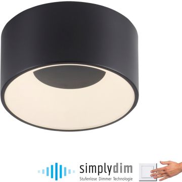 Paul Neuhaus TANIKA 14325-18 lampa sufitowa 1x14W/LED 1500lm 3000k ip20