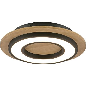Paul Neuhaus TOLA 14560-18 lampa sufitowa 1x18W/LED 2200lm 3000k ip20