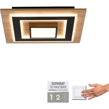 Paul Neuhaus TOLA 14563-18 lampa sufitowa 1x30W/LED 3200lm 3000k ip20