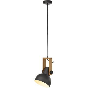 Paul Neuhaus CUP 2.0 15741-18 lampa wisząca 1x60W/E27   ip20