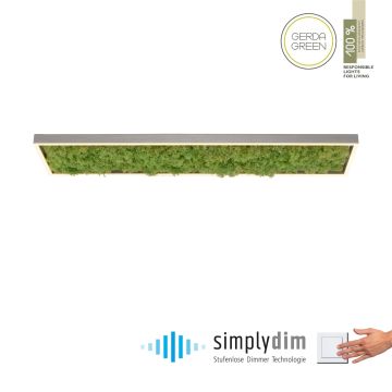 Paul Neuhaus GREEN KNUT 15623-66 lampa sufitowa 1x25W/LED 2050lm 3000k ip20