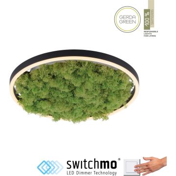 Paul Neuhaus GREEN RITUS 15391-66 lampa sufitowa 1x20W/LED 630lm 3000k ip20