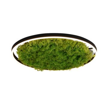 Paul Neuhaus GREEN RITUS 15392-66 lampa sufitowa 1x28W/LED 960lm 3000k ip20