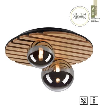 Paul Neuhaus GREEN STIKA 15208-79 lampa sufitowa 2x5W/G9   ip20
