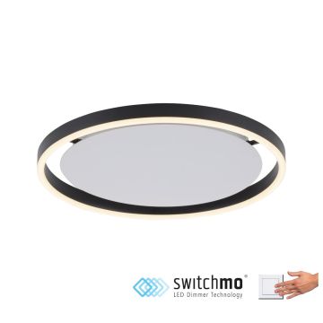 Paul Neuhaus RITUS 15391-13 lampa sufitowa 1x20W/LED IP20 3000K 800lm