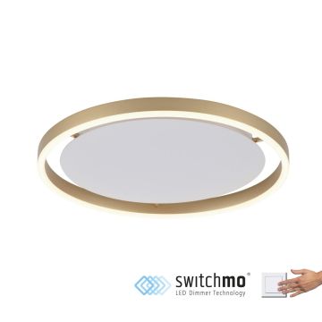 Paul Neuhaus RITUS 15391-60 lampa sufitowa 1x20W/LED IP20 3000K 1060lm