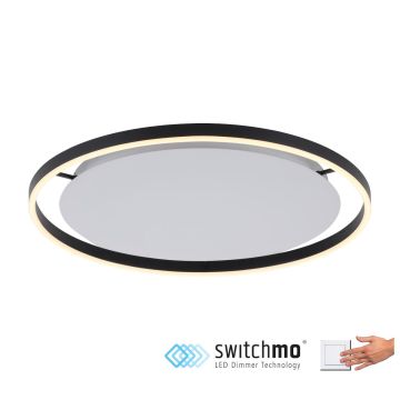 Paul Neuhaus RITUS 15392-13 lampa sufitowa 1x28W/LED IP20 3000K 1100lm