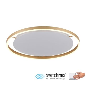 Paul Neuhaus RITUS 15392-60 lampa sufitowa 1x28W/LED IP20 3000K 1550lm