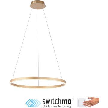 Paul Neuhaus RITUS 15394-60 lampa wisząca 1x31,5W/LED 3650lm 3000k ip20