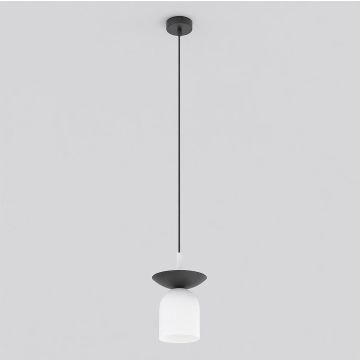 Emibig EGO 1613/1 lampa wisząca 1x10W/E14 IP20