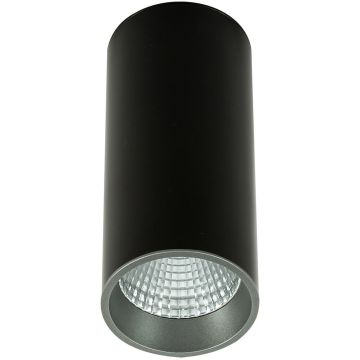 Italux Moldes Big BL/GR Celing 3000K SLC7392/12W 3000K BL+GR downlight natynkowy 1x12W/LED 820lm 3000K IP20