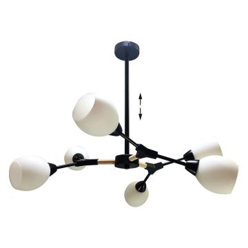 Prezent CITTERIO 18300 lampa sufitowa 6x40W/E14 IP20