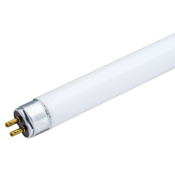 Prezent PICASSO CLASSIC 181 TUBE żarówka 8W/T5 2700k