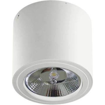 AZzardo ALIX 230V AZ3541 downlight natynkowy 1x50W/ES111/GU10 IP20 