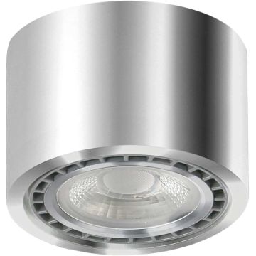 AZzardo ECO ALIX AZ3495 downlight natynkowy 1x35W/ES111 IP20 