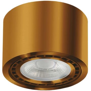 AZzardo ECO ALIX AZ3496 downlight natynkowy 1x35W/ES111 IP20 