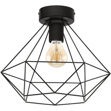 Eglo TARBES 43004 plafon 1x60W/E27