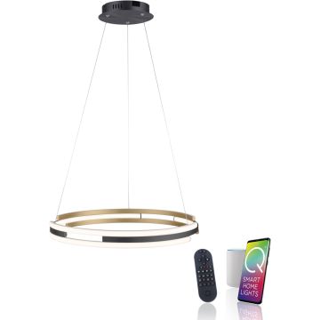 Paul Neuhaus Q-BELUGA 2051-60 lampa wisząca 1x62W/LED 6900lm 2700-5000k ip20