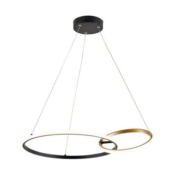 Zuma Line RANDO 20002P-GD lampa wisząca 1x36W/LED 3000K|4000K|6000K IP20