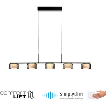 Paul Neuhaus RIKA 2116-18 lampa wisząca 5x42W/LED 5000lm 3000k ip20