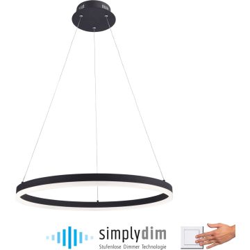 Paul Neuhaus TITUS 2382-13 lampa wisząca 1x44W/LED   ip20