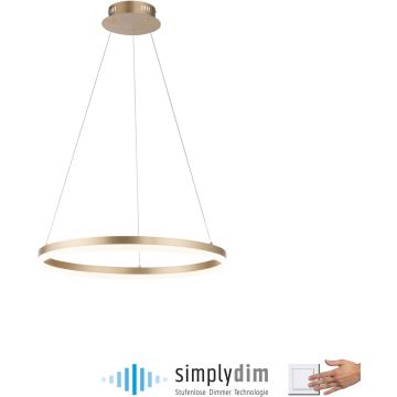 Paul Neuhaus TITUS 2382-60 lampa wisząca 1x44W/LED 5250lm 3000k ip20