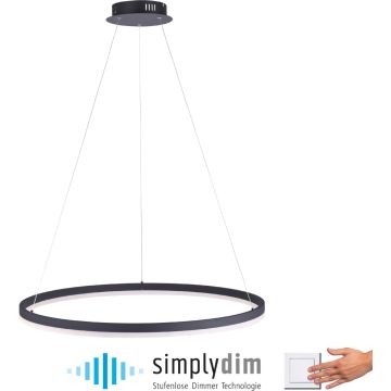 Paul Neuhaus TITUS 2383-13 lampa wisząca 1x61W/LED   ip20