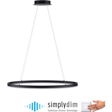 Paul Neuhaus TITUS 2392-13 lampa wisząca 1x38W/LED 1800lm 3000k ip20