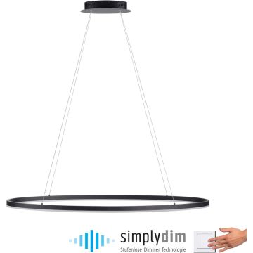 Paul Neuhaus TITUS 2393-13 lampa wisząca 1x57,5W/LED 2700lm 3000k ip20