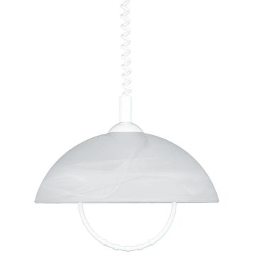 Prezent ALBERT 23068 lampa wisząca 1x60W/E27 IP20