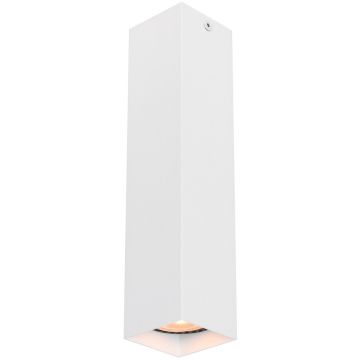 Italux Ander CLN-28394-L-WH downlight natynkowy 1x10W/GU10   IP20