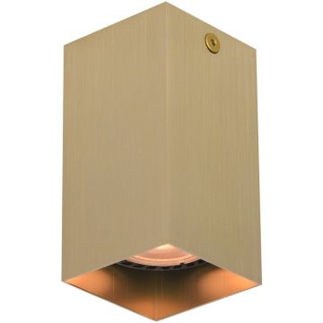 Italux Ander CLN-28394-S-GD downlight natynkowy 1x10W/GU10   IP20