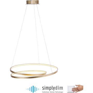 Paul Neuhaus ROMAN 2474-12 lampa wisząca 1x46W/LED 5100lm 3000k ip20