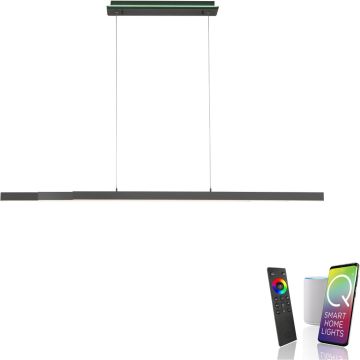 Paul Neuhaus Q-ARIAN 2569-13 lampa wisząca 4x55W/LED 5520lm 2700-5000k ip20