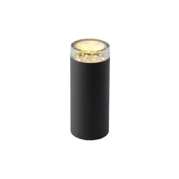 Garden Lights LINUM 2519061 zewnętrzna lampa stojąca 1x2W/GU5,3/MODUL12LED 